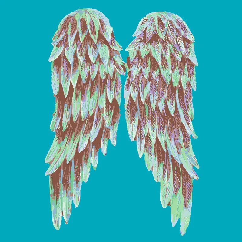 Angels Social digital piece 1: wings on a saturated colour field