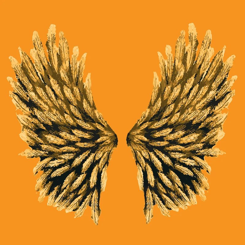 Angels Social digital piece 7: wings on a saturated colour field