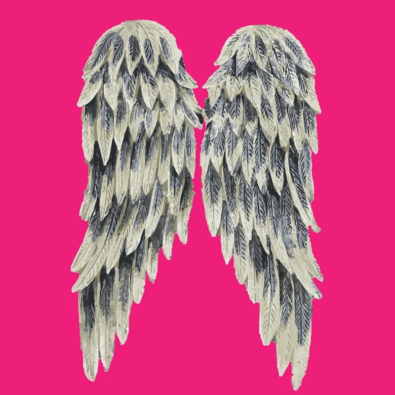 Angels Social digital piece 9: wings on a saturated colour field