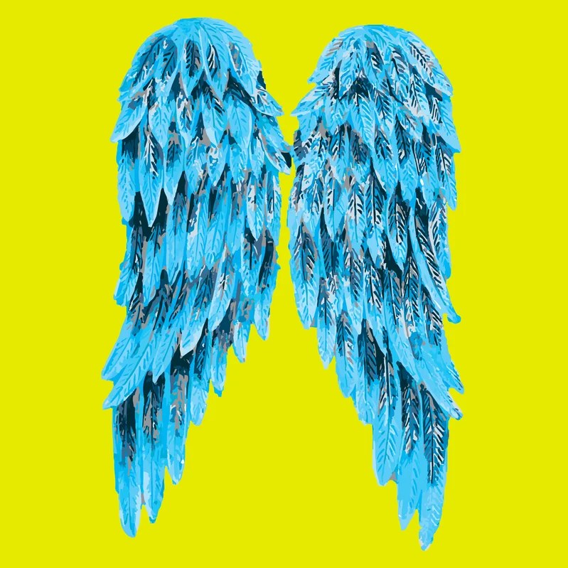 Angels Social digital piece 13: wings on a saturated colour field